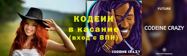 хмурый Алзамай