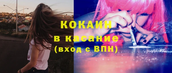 ПСИЛОЦИБИНОВЫЕ ГРИБЫ Алексин