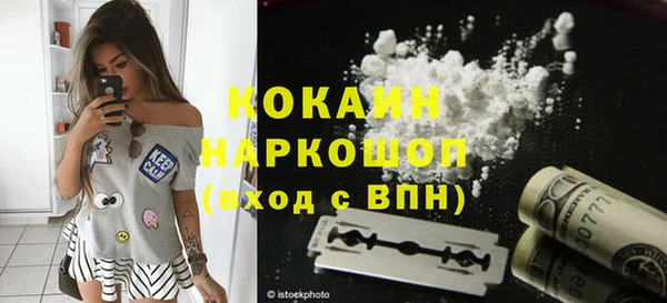 хмурый Алзамай