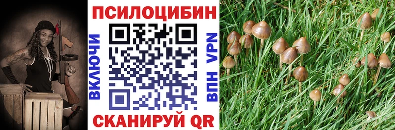Псилоцибиновые грибы Cubensis  наркошоп  hydra вход  Боровск 